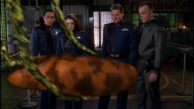 Illustration for article titled Babylon 5: “Acts of Sacrifice”/“Hunter, Prey”